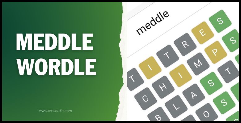 Meddle Wordle